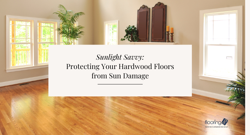 Sunlight Savvy Protecting Your Hardwood Floors from Sun Damage