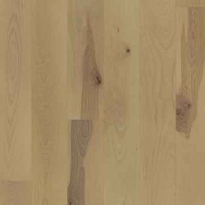 Chesapeake Compass Point Half Moon Birch 3 1/4" Solid CHE4793212u1 best price