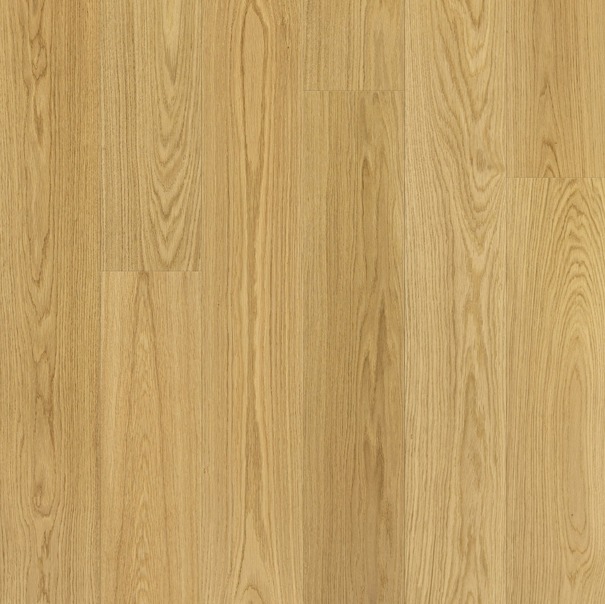10 1/4" x 5/8" Engineered European Oak with 4mm Wear Layer by BareRoots in Natural SELECT
