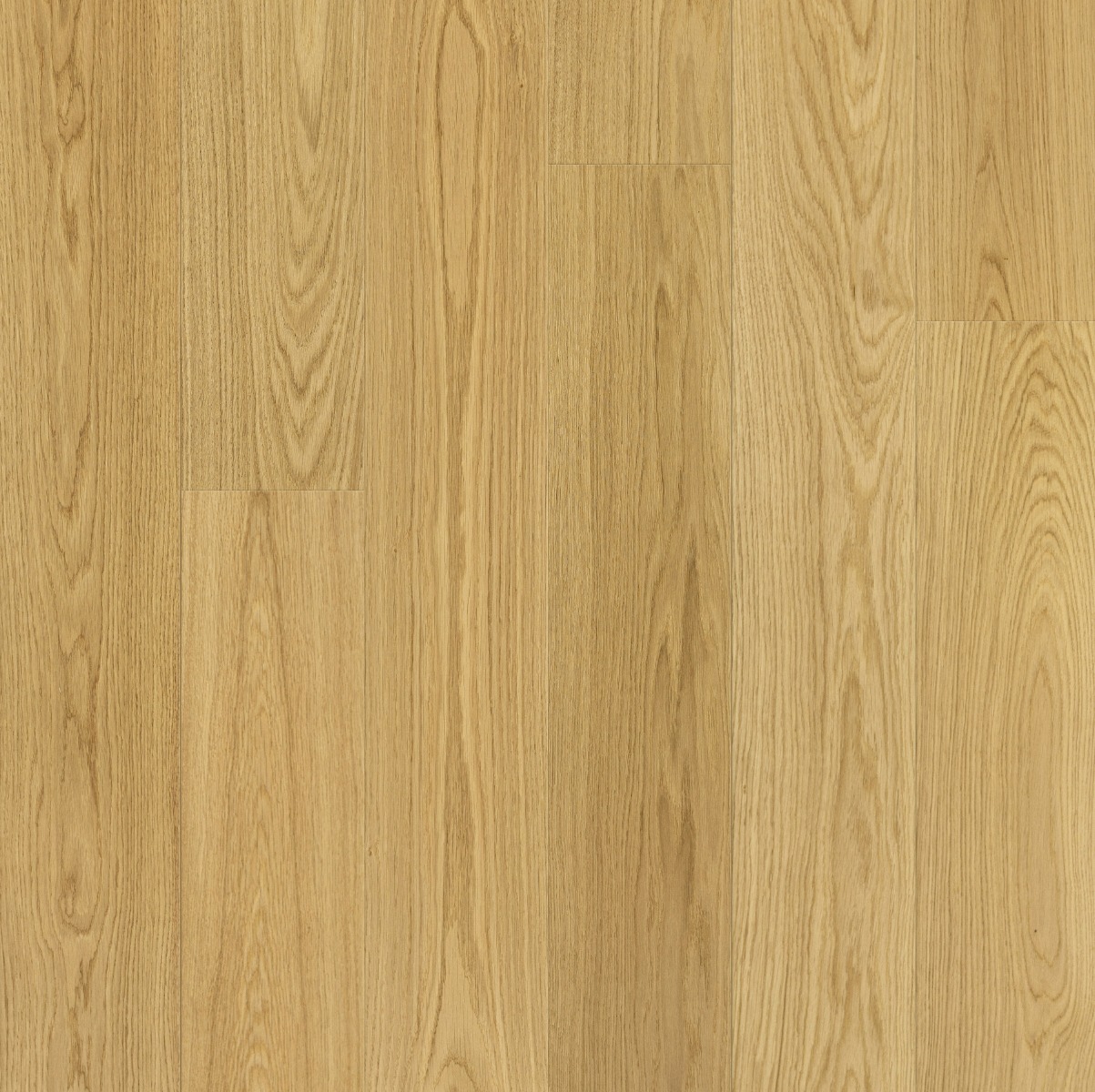 Select Grade Engineered European Oak by BareRoots in Natural - Image 8