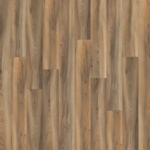 Chesapeake Freedom Canyon laminate flooring plank swatch