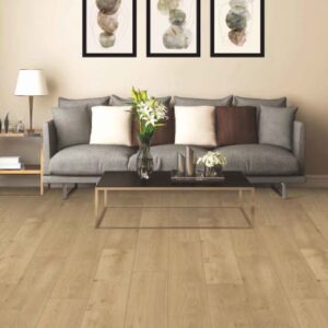 Chesapeake Freedom Grassland laminate flooring room scene