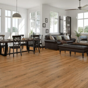 Inhaus Landmark Norfolk 64712 room scene