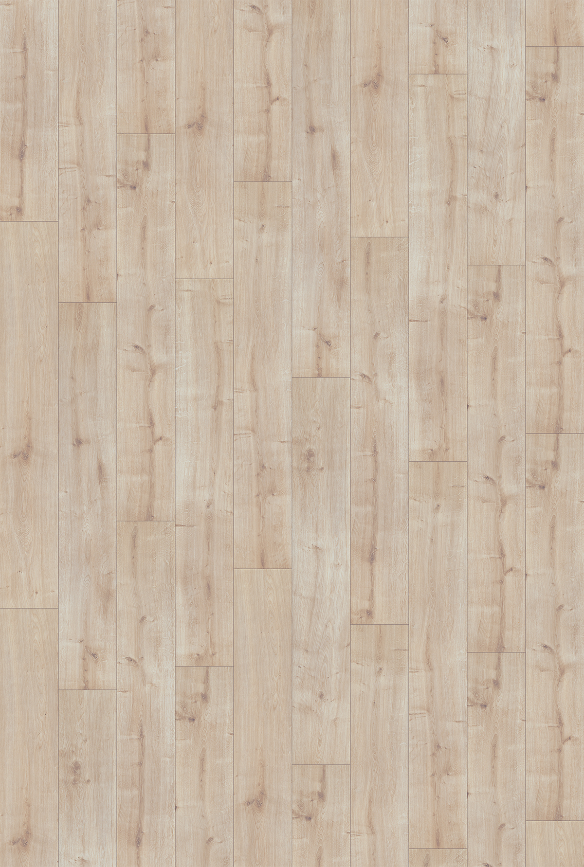 Inhaus Visions Natural Oak 56356 laminate full decor